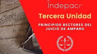 3 Amparo IndirectoPrincipios Rectores del Juicio de Amparo [upl. by Petty]