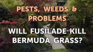 Will Fusilade Kill Bermuda Grass [upl. by Caldeira271]