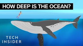 This Incredible Animation Shows How Deep The Ocean Really Is [upl. by Madalyn]