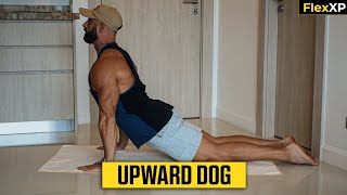 Upward Dog Form amp Tutorial Guide 30 Seconds  FlexXP [upl. by Akehsar479]