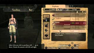 Dragons Dogma  Early Infinite Gold [upl. by Muslim]