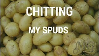 How to Chit Potatoes [upl. by Aym]