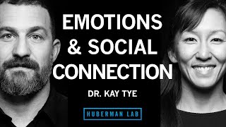 Dr Kay Tye The Biology of Social Interactions and Emotions [upl. by Takashi6]