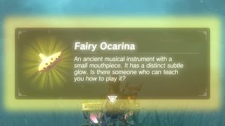 Mr Hero  Fairy Ocarina in the Lost Woods [upl. by Bowe]