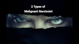 3 Types of Malignant Narcissist Grandiose Covert Borderline [upl. by Arada]