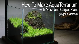 How To Make AquaTerrarium with Moss amp Carpet Plant [upl. by Shirlie983]