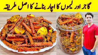 Gajar Pickle Recipe By ijaz Ansari  Achar Banane Ka Tarika  Carrot Pickle Recipe [upl. by Naitsirc]