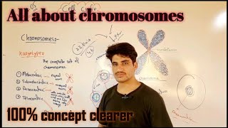 chromosomes formation NucleusBiology BiologyScienceSK13 superbiolog RobsonBiollo [upl. by Hesta]