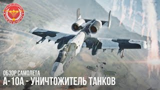 А10А  УНИЧТОЖИТЕЛЬ ТАНКОВ в WAR THUNDER [upl. by Ojyllek741]