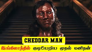 இங்கிலாந்தின் முதல் மனிதன்  Cheddar man  5 Min Videos [upl. by Gavan687]