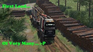 FS19  Forestry On Holmåkra  First Load  Timelapse  S02 EP22 [upl. by Ahsitul]