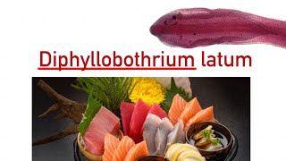 Diphyllobothrium latum [upl. by Aret]