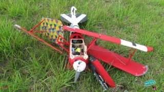 RC Albatros DVa WWI Warbird  Crash [upl. by Neerom962]