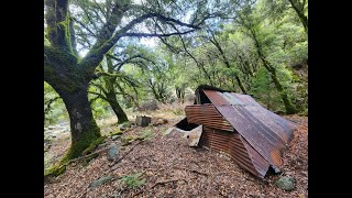 Abandoned Gold Mine Overloaded With Quartz amp Crystals [upl. by Palladin]