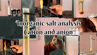 Inorganic salt analysis for one cation and one anion  Part B GSEB board exam  GSEB BOARD EXAM [upl. by Aehtela]