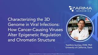 Characterizing the 3D Genome in Viral Infections [upl. by Herc]