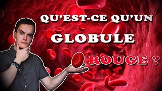 QUESTCE QUUN GLOBULE ROUGE [upl. by Eynaffit]