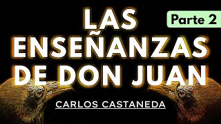 LAS ENSEÑANZAS DE DON JUAN  C Castaneda  Parte 2  Audiolibro completo en español  Voz humana [upl. by Assirem]