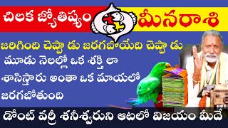 chilaka Joshyam Meena rasi marchi to may rasi phalalu Telugu  meena rasi 2023 meena rasi phalalu [upl. by Simsar600]