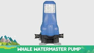 Whale WaterMaster Pump [upl. by Pyotr]