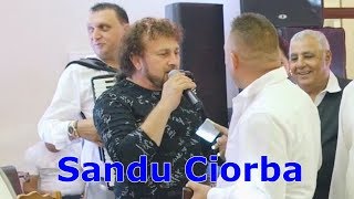 Sandu Ciorba  Super joc romani Live 2019 [upl. by Wie]