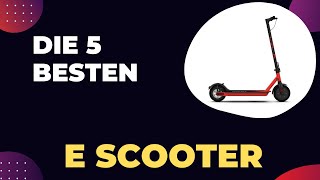 Die 5 Besten E Scooter mit Straßenzulassung 2024 [upl. by Annahavas731]