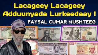 Lacageey  Faysal Cumar Mushteeg  Faysal cumar mushteeg dhugmaal  faysal cumar mushteeg lacage [upl. by Rehpotsihc]