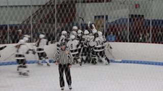 Katelyn Joyal scores gamewinning OT playoff goal for Longmeadow High School girls hockey [upl. by Aneekat142]