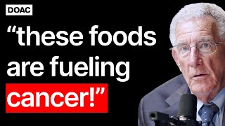 The Groundbreaking Cancer Expert New Research quotThis Common Food Is Making Cancer Worsequot [upl. by Pietrek840]