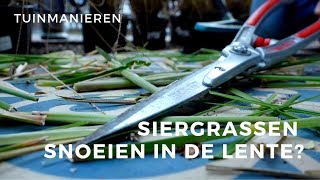 Siergrassen snoeien in het voorjaar Hoe doe je dat  Tuinmanieren [upl. by Wilhelmine]