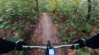 Mtb trails Rhenen [upl. by Ymerej258]