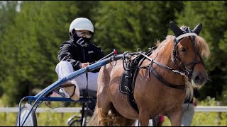 230722 Bergsåker TV Ponnyläger på Ammeråtravet [upl. by Hewitt]