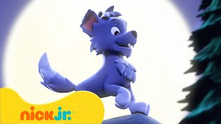 Patrulha Canina  Lobislhotes e Mistérios de Monstros  Nick Jr em Português [upl. by Danaher542]