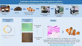 Boosting Nemos Brightness The Role of Carotenoids [upl. by Eliott148]