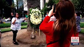 Con música y brindis despiden los 100 años de vida de la Palma de Reforma  Ciro Gómez Leyva [upl. by Reffinej446]