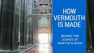 How Vermouth Is Made Behind The Scenes of Martini [upl. by Anahsor608]