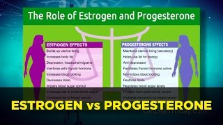 Estrogen vs Progesterone Hormonal Dominance Control Low Hormones Symptoms [upl. by Coffey]