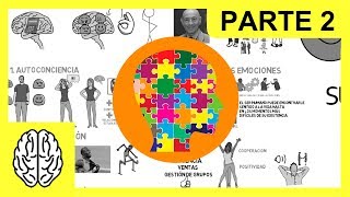 ¿CÓMO MEJORAR LA INTELIGENCIA EMOCIONAL  4 HERRAMIENTAS  DANIEL GOLEMAN ▶ Libro animado resumen [upl. by Iot]