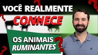 ANIMAIS RUMINANTES E SUAS CLASSIFICAÇÕES [upl. by Singer]