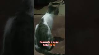 nagsosolo c meow meow 😻😻 [upl. by Laehplar513]