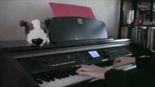 Michel Berger  La groupie du pianiste piano cover [upl. by Arayc238]