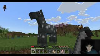 minecraft but its 3 frames per second ep1 [upl. by Laven]