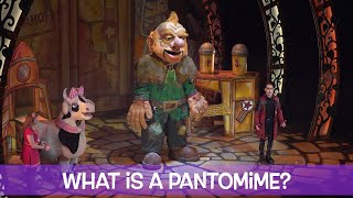 What is a Pantomime [upl. by Retrak]