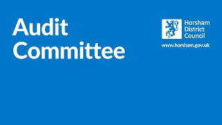 Audit Committee 18 September 2024 [upl. by Enialahs]