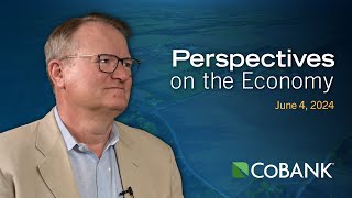 Tom Halverson Perspectives on the Economy June 4 2024 [upl. by Soluk]