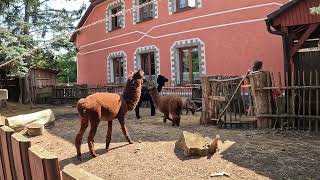 PENZION A RESTAURACE U KRBU LIŠNICE SEVEROČESKÝ KRAJ [upl. by Eshelman]