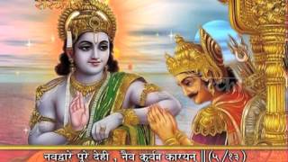 Shrimad Bhagavad Gita  Adhyay 5 [upl. by Gillie]