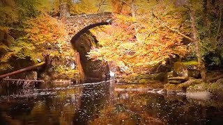 The Hermitage  Dunkeld Perthshire [upl. by Bamberger]