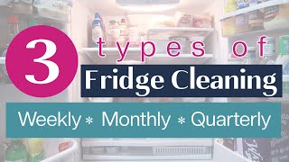 3 Types of Fridge Cleaning  How to Clean a Fridge [upl. by Oneil892]