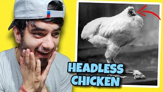 A Headless Chicken 😱  WEIRD RANDOM FACTS THAT WILL SHOCK YOU [upl. by Charlena]